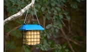 Heloise shares a tip on what to feed wild birds.