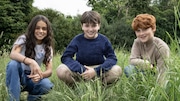 Arabella Stanton, Dominic McLaughlin, and Alastair Stout have been cast as Hermione, Harry, and Ron in the upcoming "Harry Potter" television series.