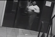 Turquoise Morton, 38, of Lindenwold, was arrested Tuesday after a malnourished dog was found abandoned in a dumpster at a Camden County apartment complex, police said.